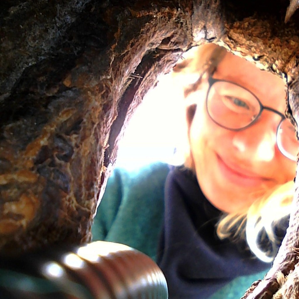 Endoskopische Untersuchung von Baumhöhlen und Spalten im Schlosspark Linderhof