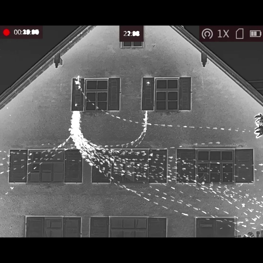 Quartiertelemetrie und Ausflugzählung der Mopsfledermaus mit Wärmebildtechnik